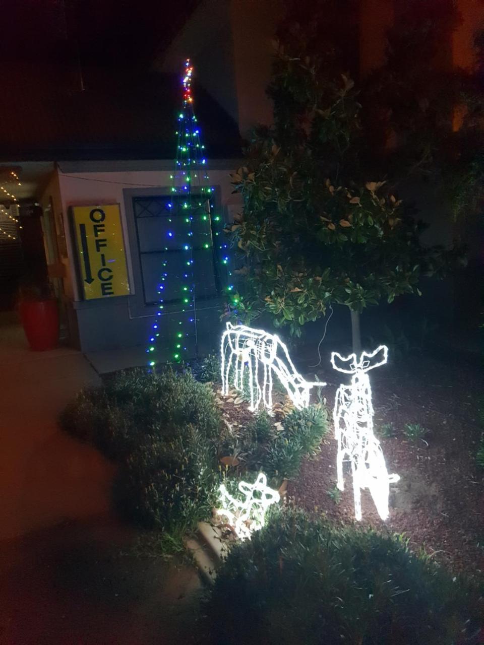 Narrabri Motel And Caravan Park Экстерьер фото